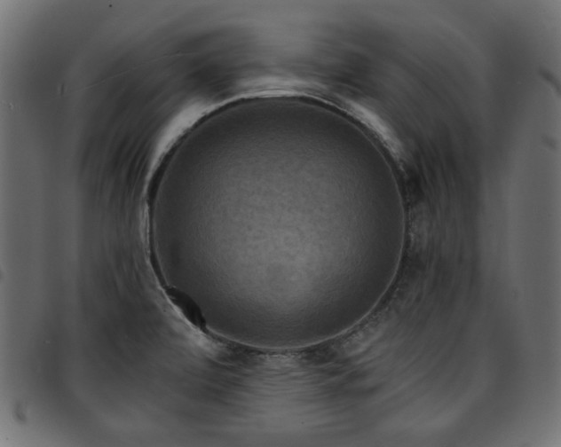 X0000095531472200712141451