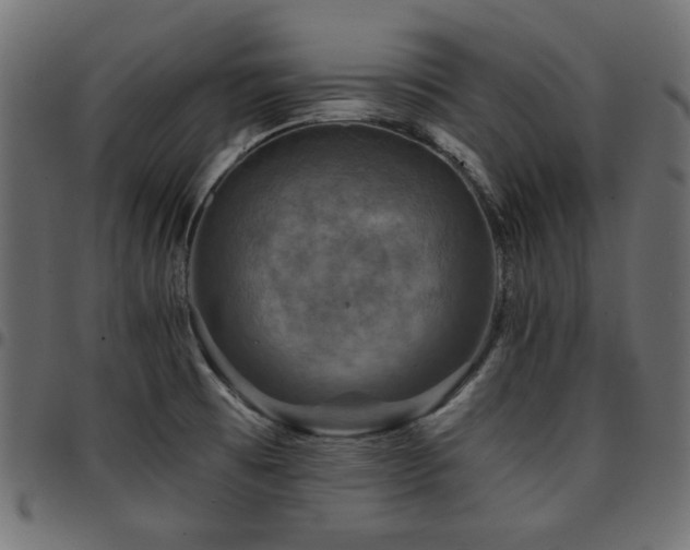 X0000095531473200712141451