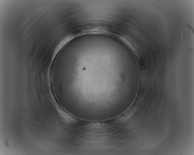 X0000095531474200712141451