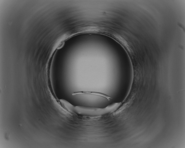 X0000095531475200712141451