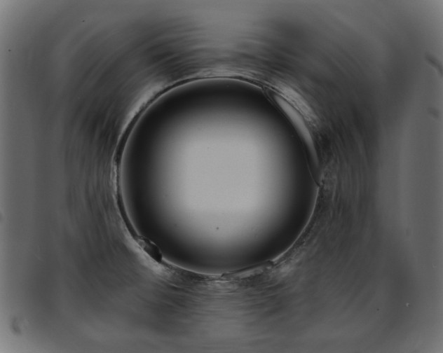 X0000095531476200712141451