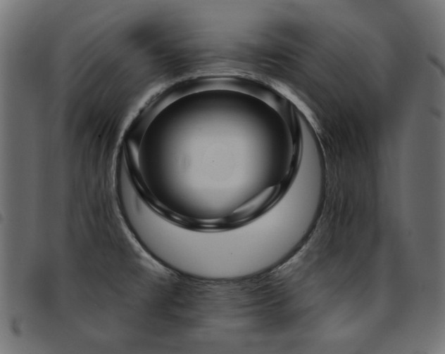 X0000095531477200712141451