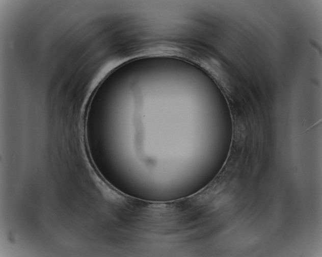 X0000095531478200712141451