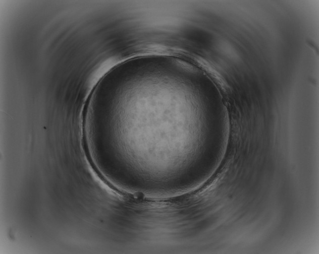 X0000095531479200712141451