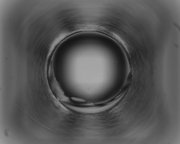 X0000095531480200712141451