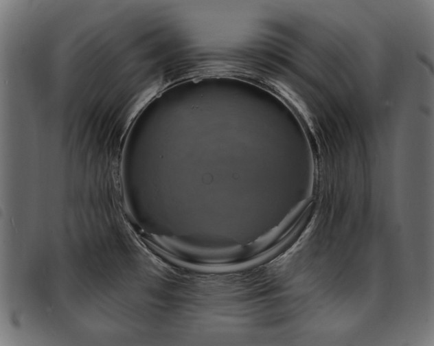 X0000095531481200712141451
