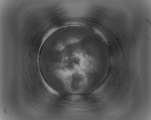 X0000095531482200712141451