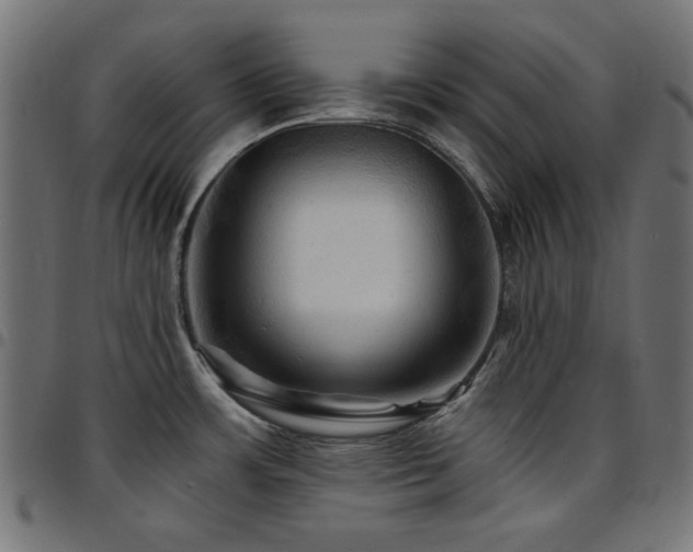 X0000095531483200712141451