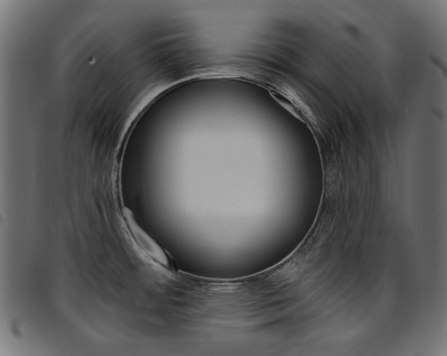 X0000095531484200712141451