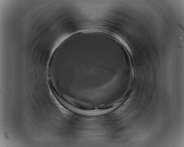 X0000095531485200712141451