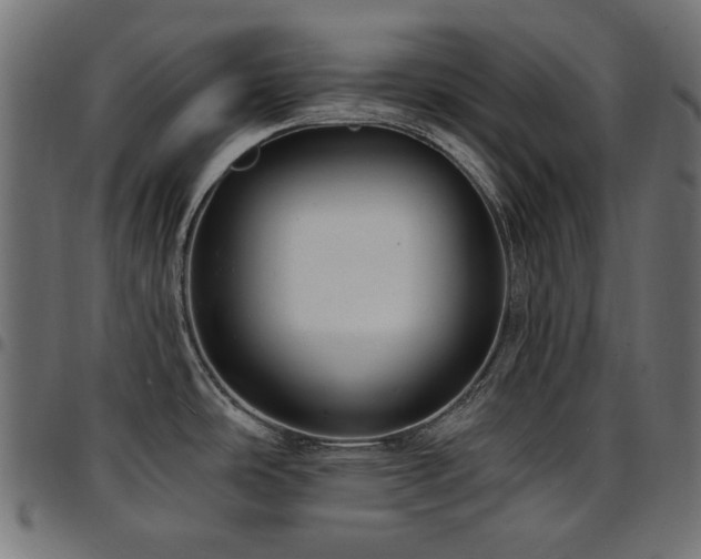 X0000095531486200712141451