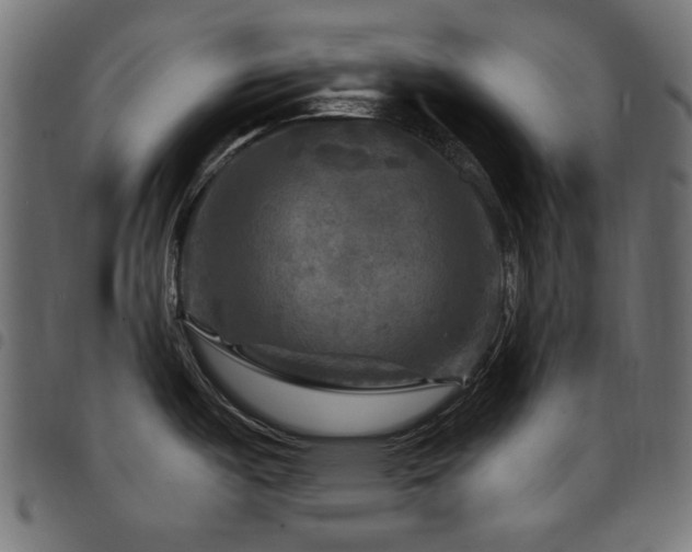 X0000095531487200712141451