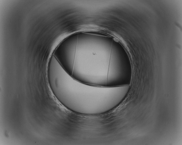 X0000095531488200712141451