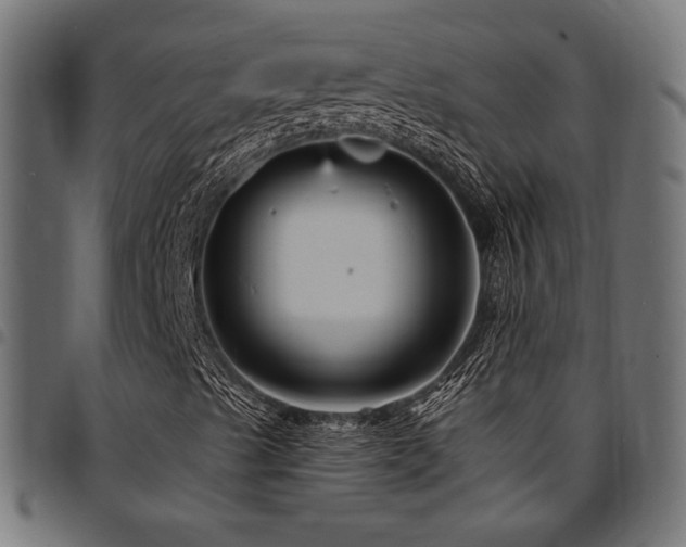 X0000095531489200712141450