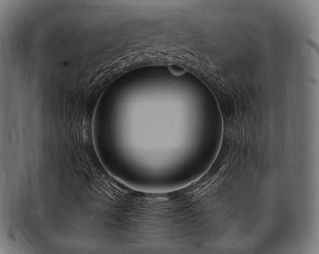 X0000095531490200712141450