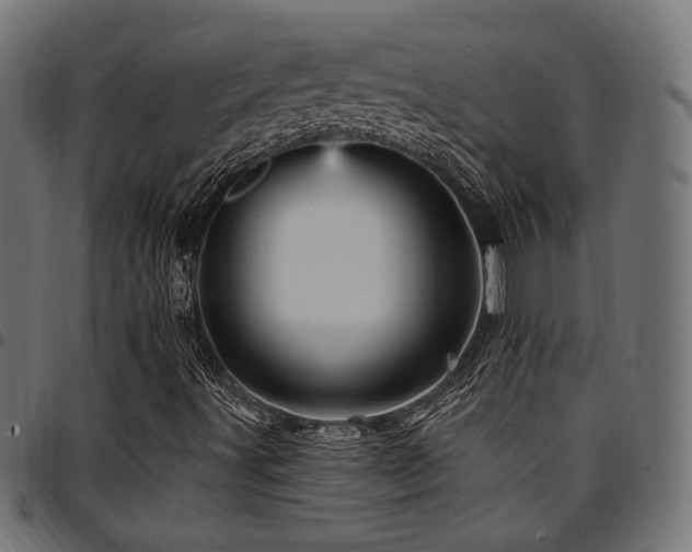 X0000095531491200712141450