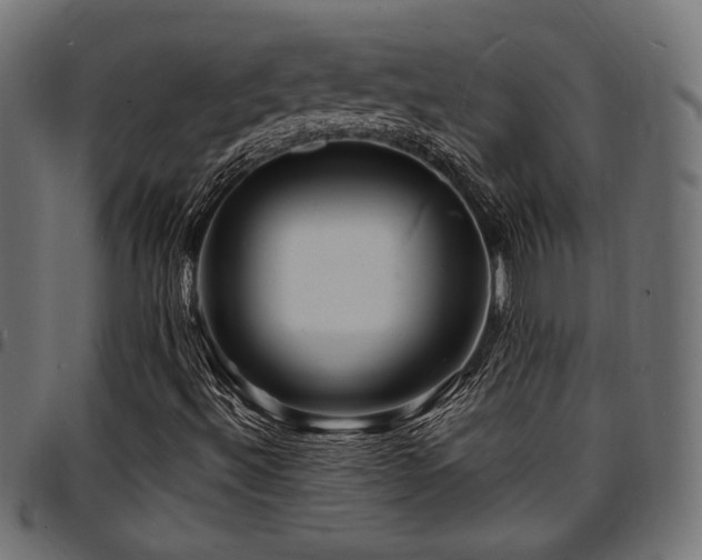 X0000095531492200712141450