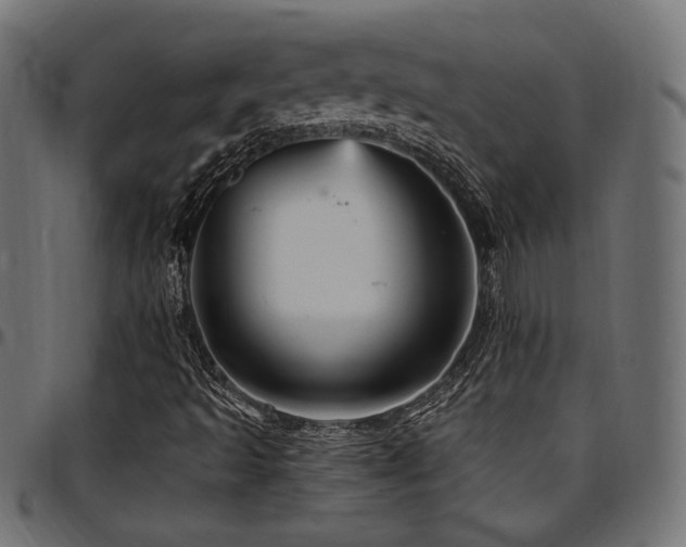 X0000095531493200712141450
