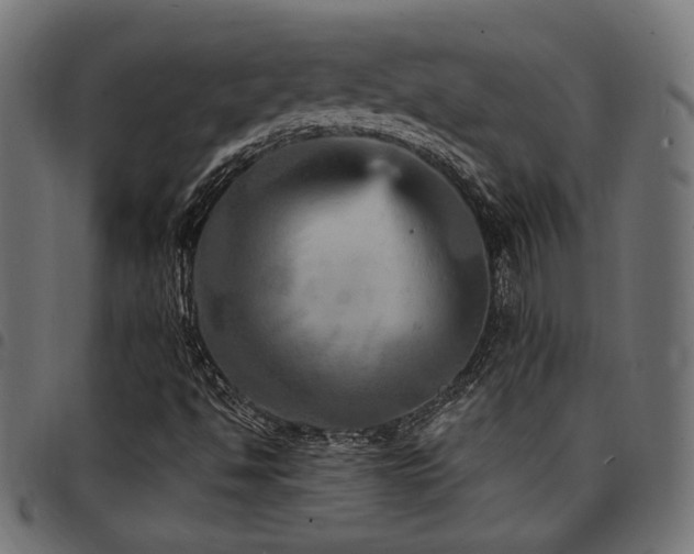 X0000095531494200712141451