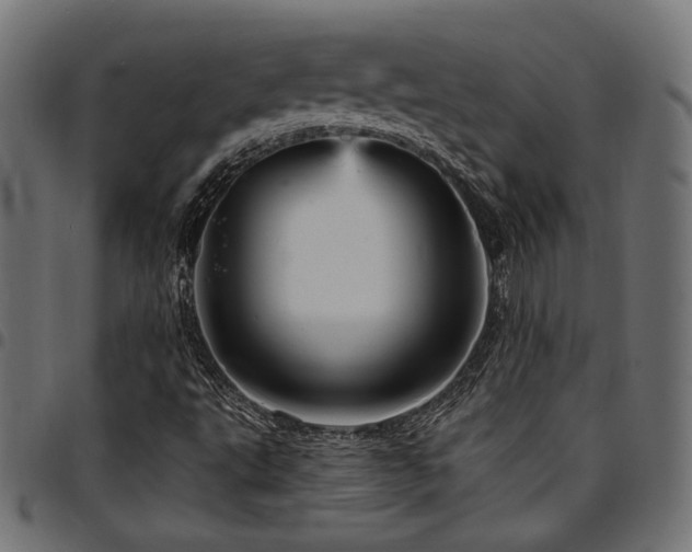 X0000095531495200712141451