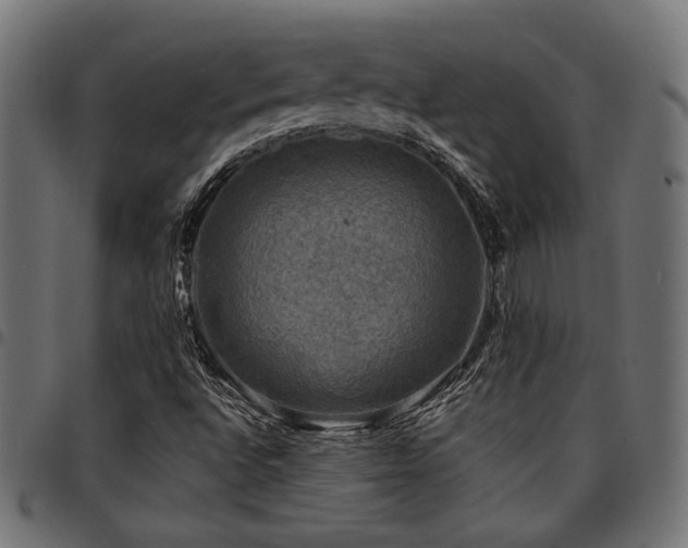 X0000095531496200712141451