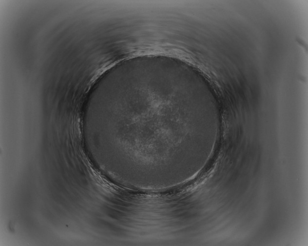 X0000095531497200712141451