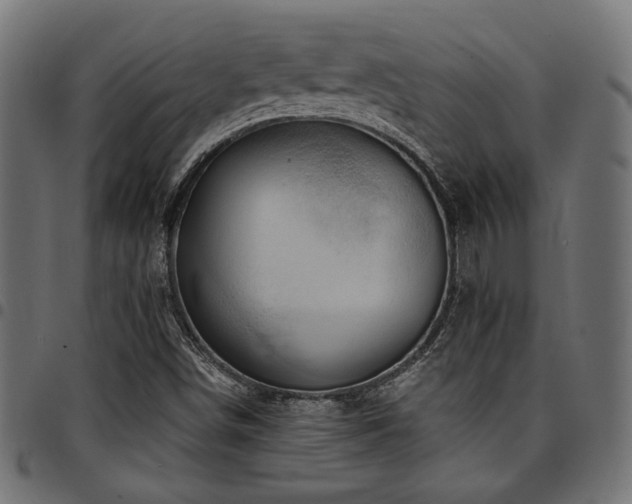 X0000095531498200712141451