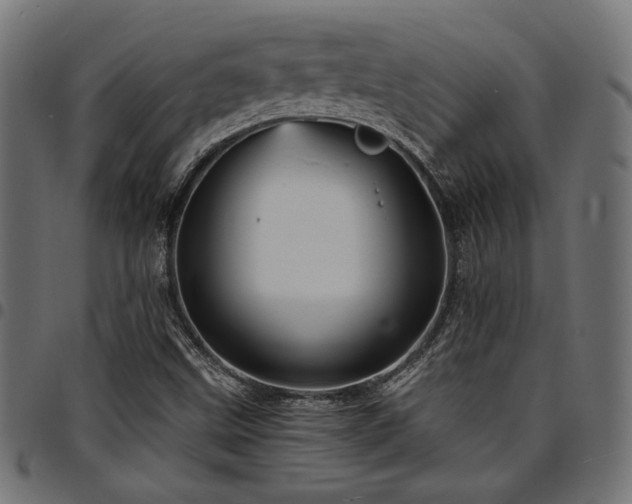 X0000095531499200712141451
