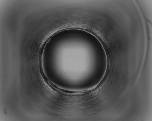 X0000095531500200712141451