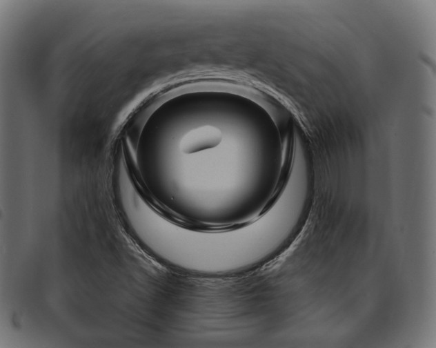 X0000095531502200712141451