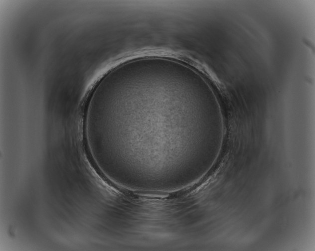 X0000095531504200712141451