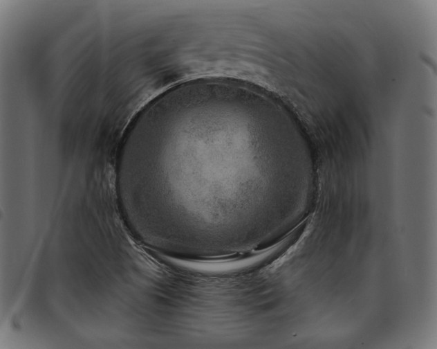 X0000095531505200712141451