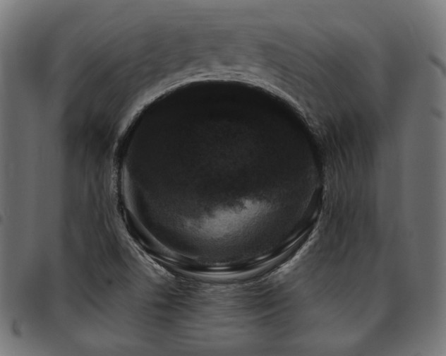 X0000095531506200712141451