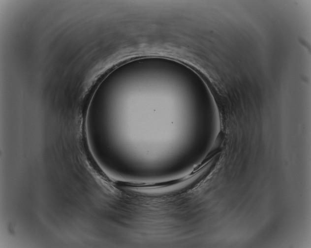 X0000095531507200712141451