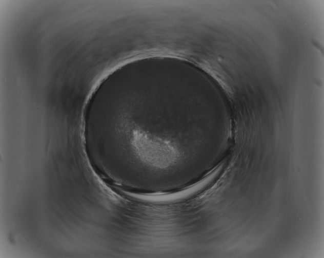 X0000095531508200712141451