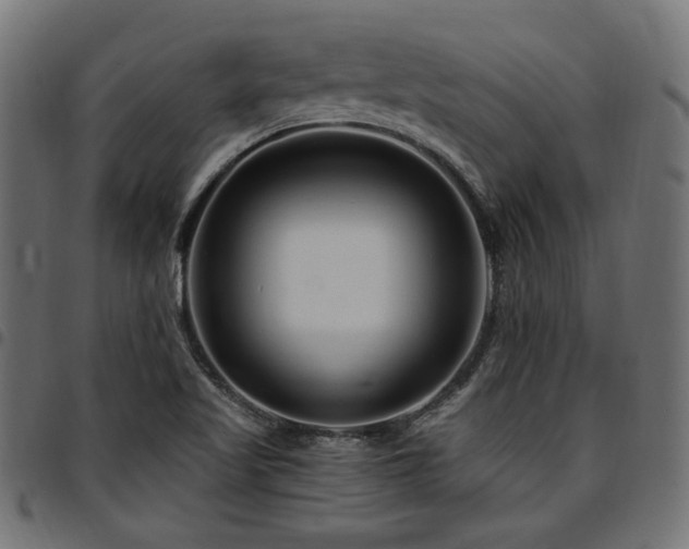 X0000095531509200712141451