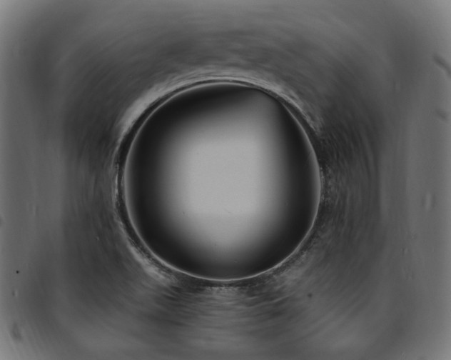 X0000095531511200712141451