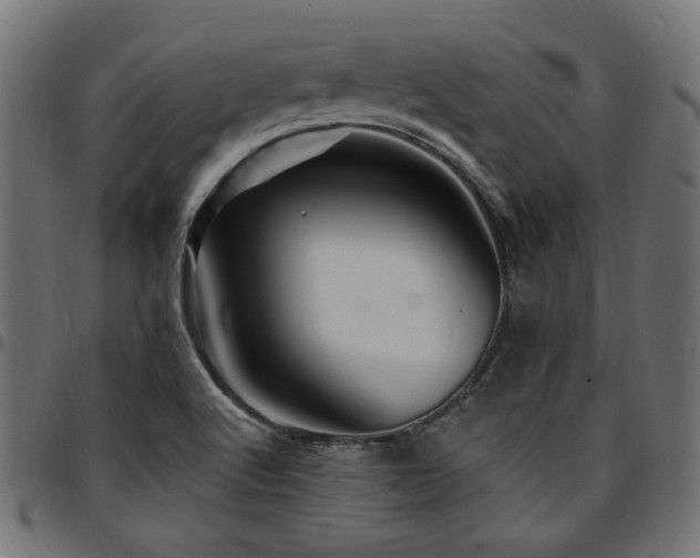 X0000095531512200712141451