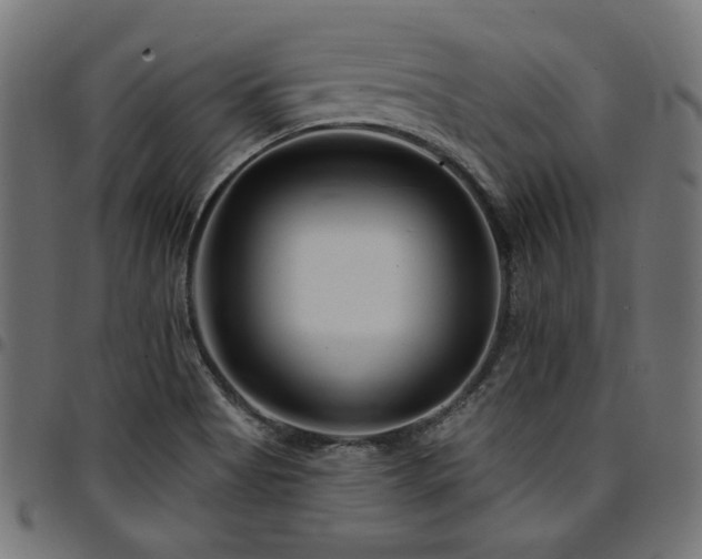 X0000095531513200712141451