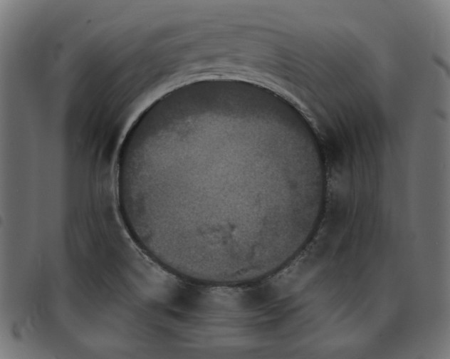 X0000095531514200712141451