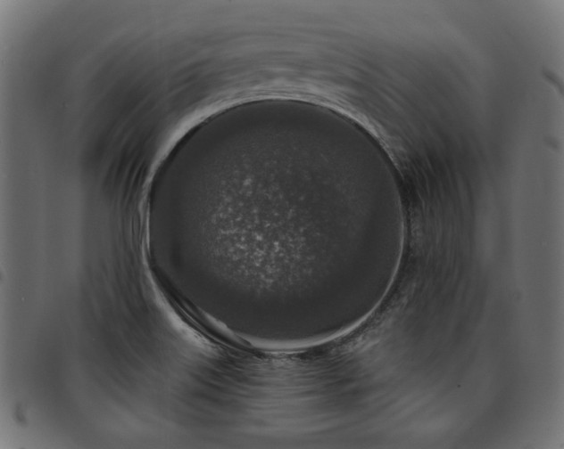 X0000095531515200712141451