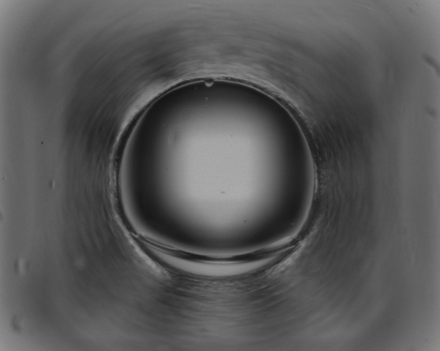 X0000095531517200712141451