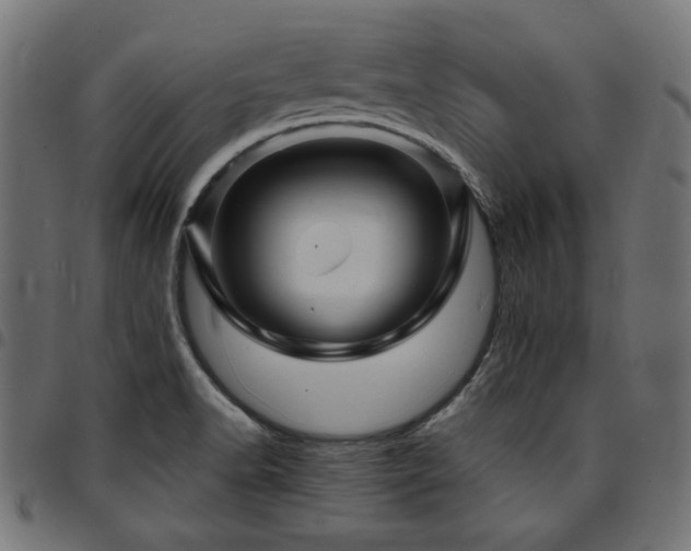 X0000095531518200712141451