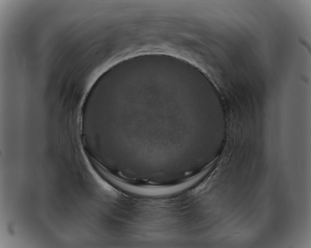 X0000095531519200712141451