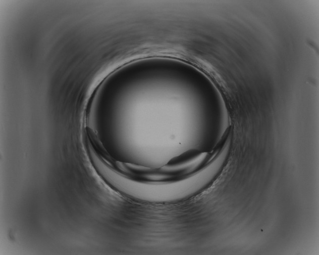 X0000095531520200712141451
