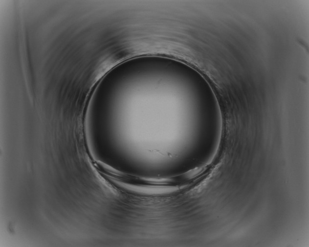 X0000095531521200712141451