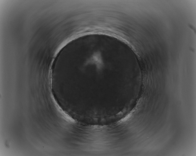 X0000095531522200712141451