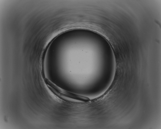 X0000095531523200712141451