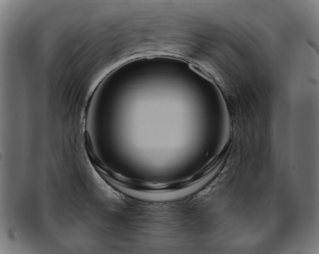 X0000095531524200712141451