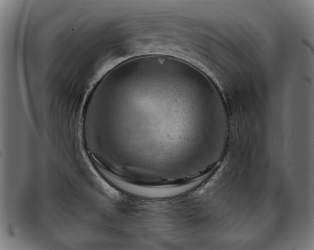 X0000095531525200712141451